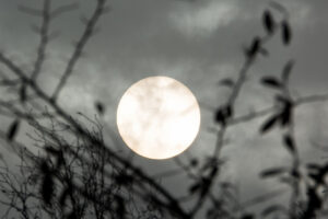 月の画像 陰陽イメージ